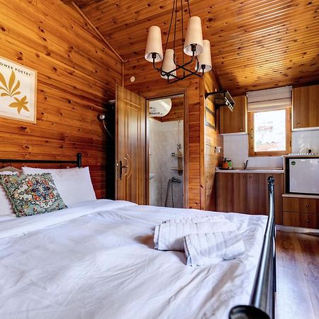 Chalet Parea Метаморфоси Экстерьер фото
